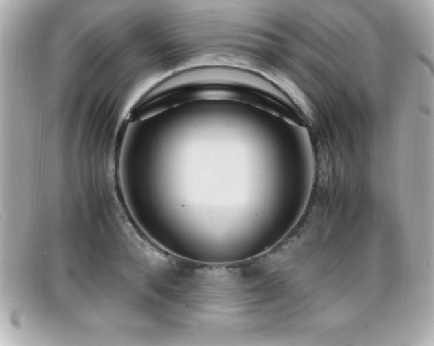 X0000099470896200805091545