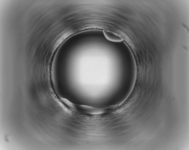 X0000099470898200805091545