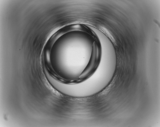 X0000099470900200805091545