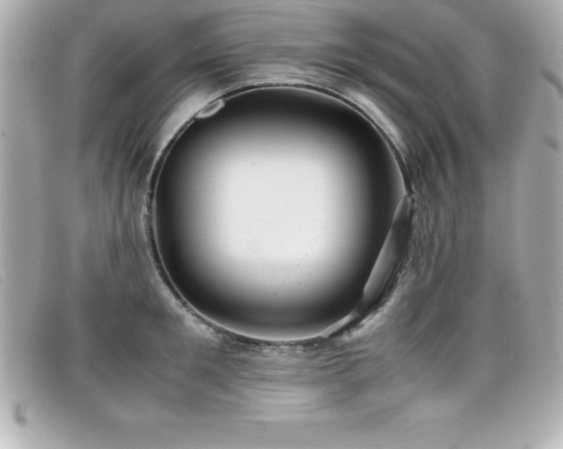 X0000099470901200805091545