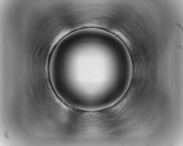X0000099470902200805091544