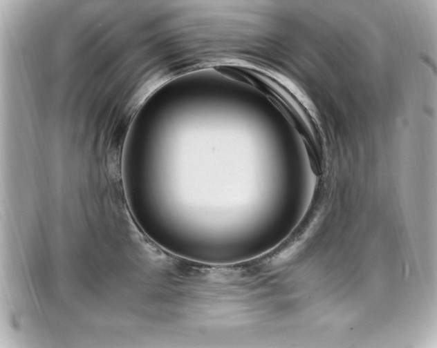 X0000099470905200805091544