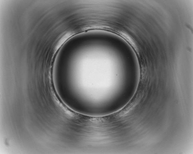X0000099470906200805091544