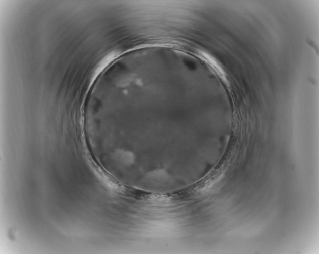 X0000099470907200805091544
