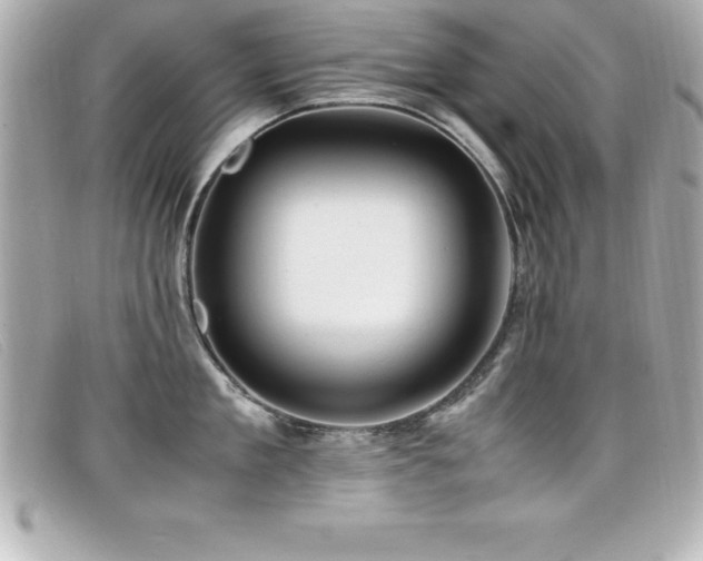X0000099470909200805091544