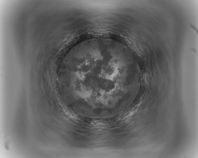 X0000099470913200805091544