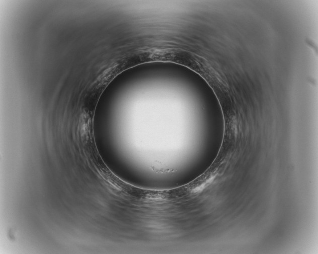 X0000099470914200805091544