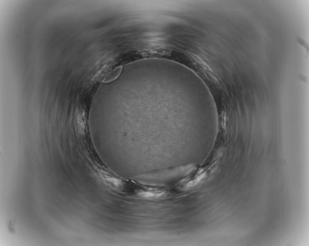 X0000099470915200805091544