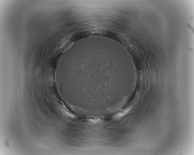 X0000099470916200805091544