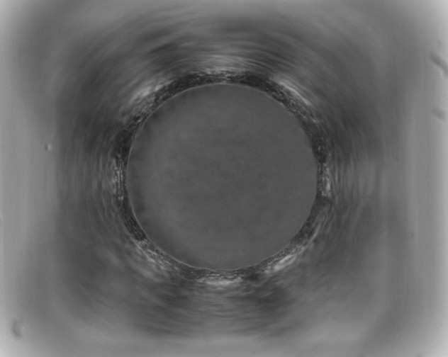 X0000099470917200805091544