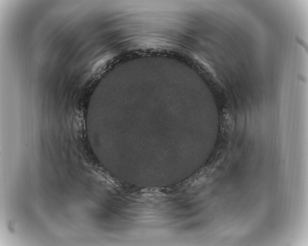 X0000099470918200805091544