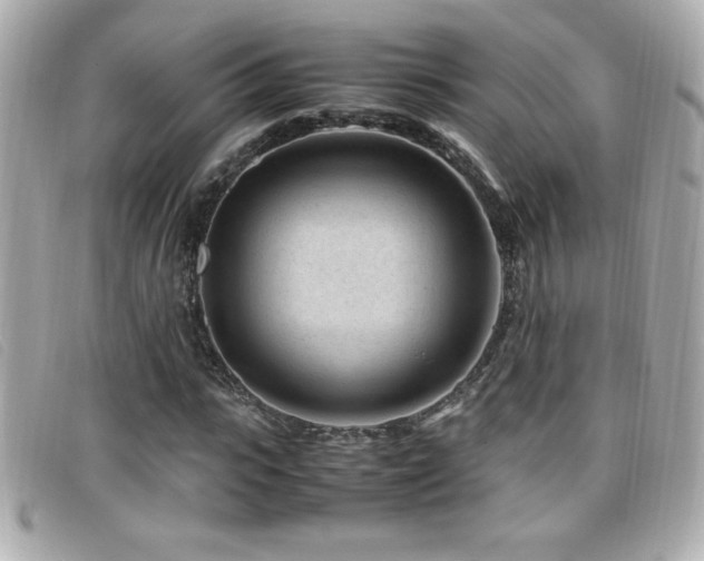 X0000099470919200805091544