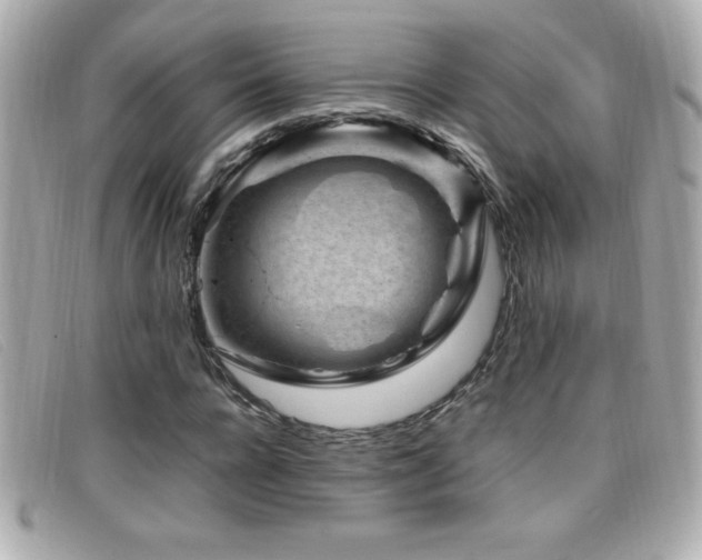X0000099470920200805091544