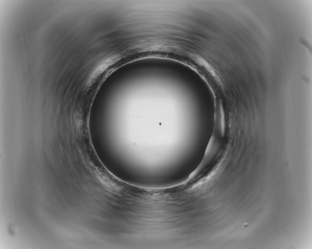 X0000099470922200805091544