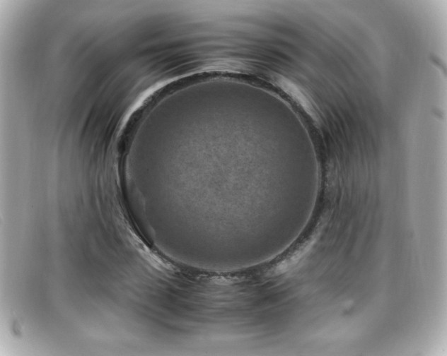 X0000099470923200805091544