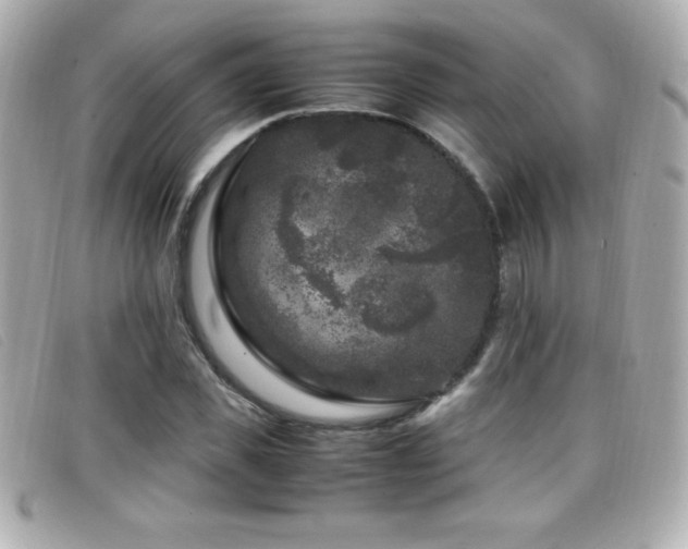 X0000099470925200805091544