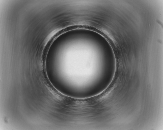 X0000099470927200805091544