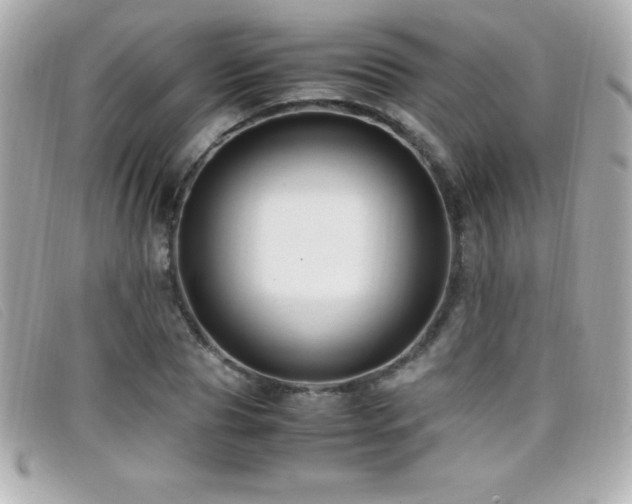 X0000099470929200805091544