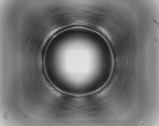 X0000099470931200805091544