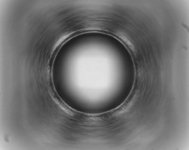 X0000099470933200805091544