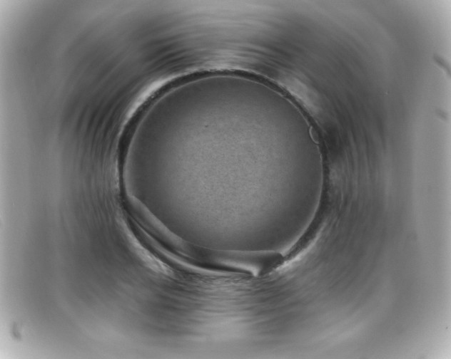 X0000099470934200805091544