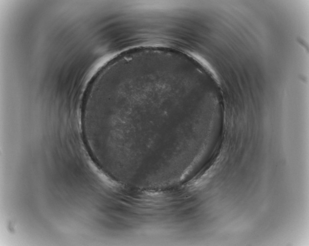 X0000099470935200805091544