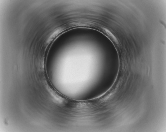 X0000099470938200805091544