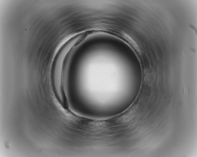 X0000099470939200805091544