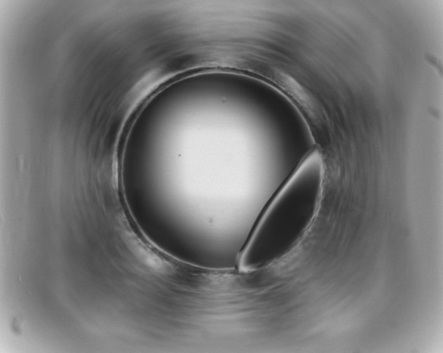 X0000099470940200805091544