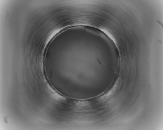 X0000099470941200805091544