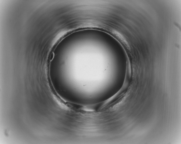 X0000099470942200805091544