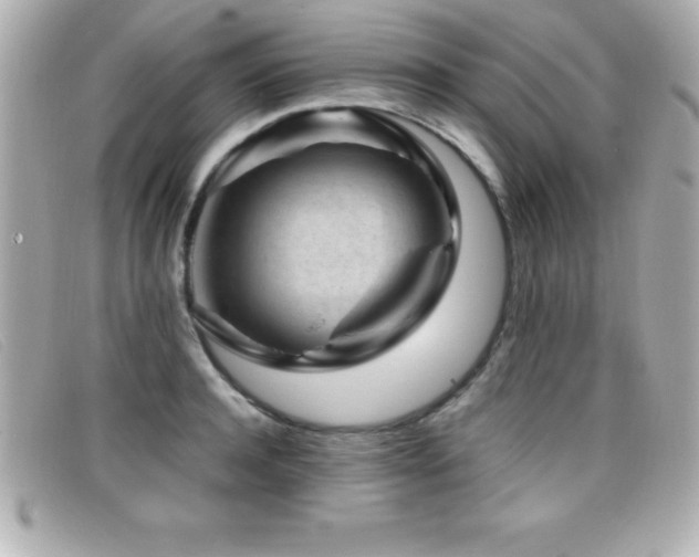 X0000099470944200805091544