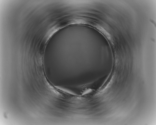 X0000099470945200805091544
