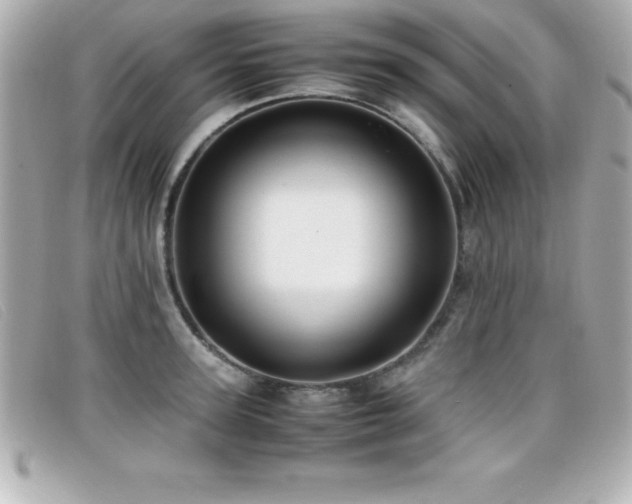 X0000099470947200805091544