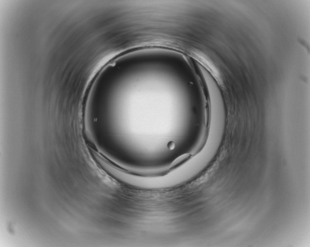 X0000099470948200805091544