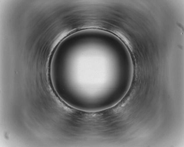 X0000099470949200805091544