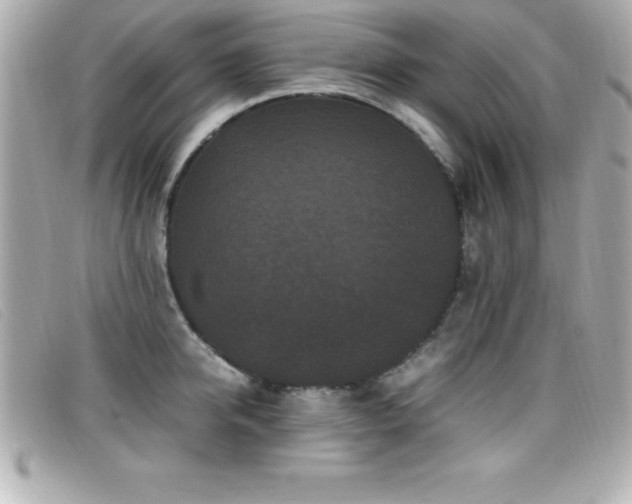 X0000099470950200805091544