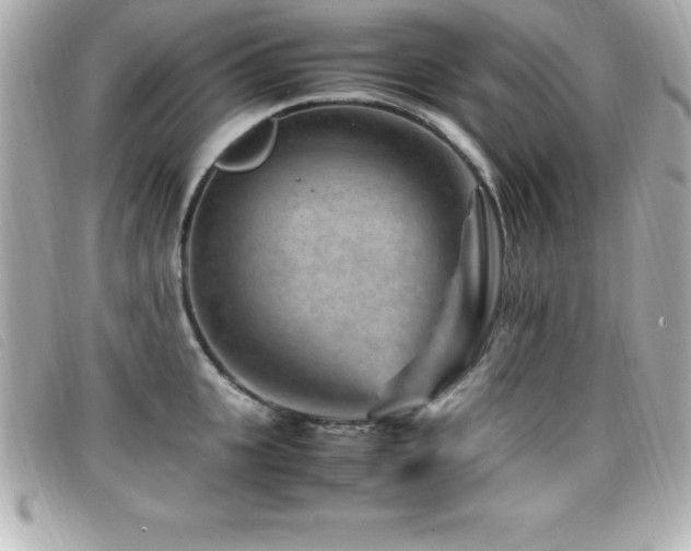 X0000099470951200805091544