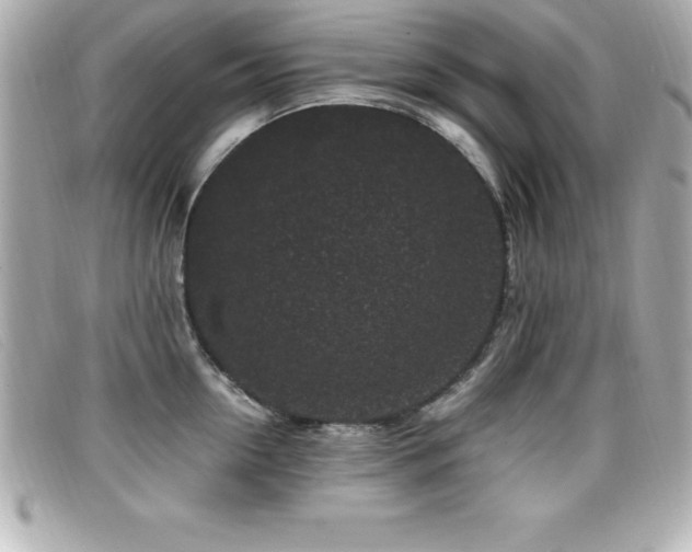 X0000099470954200805091544