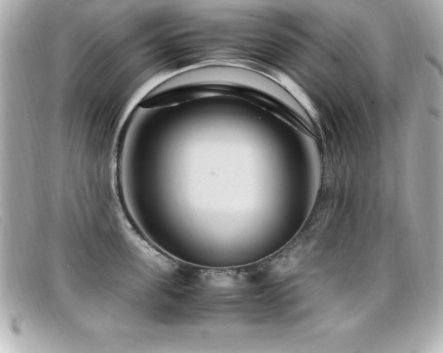 X0000099470955200805091544