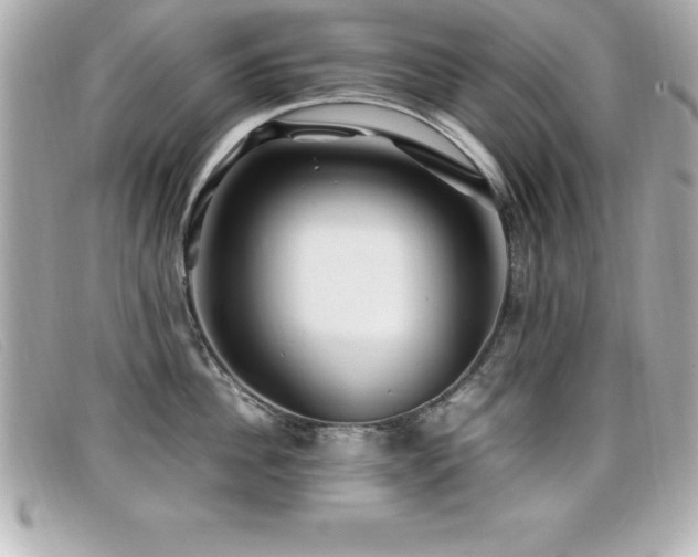 X0000099470956200805091544