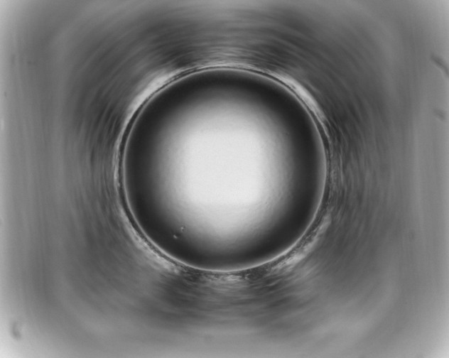 X0000099470957200805091544