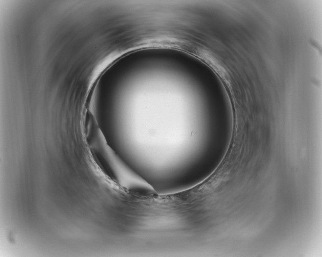 X0000099470960200805091544