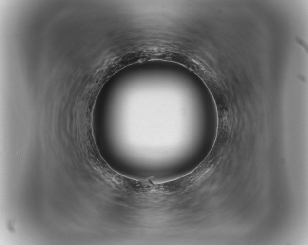 X0000099470961200805091544