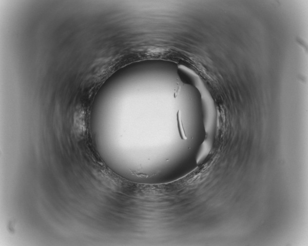 X0000099470962200805091544
