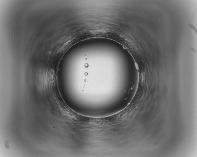 X0000099470963200805091544