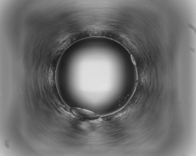 X0000099470964200805091544