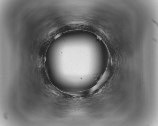 X0000099470965200805091544