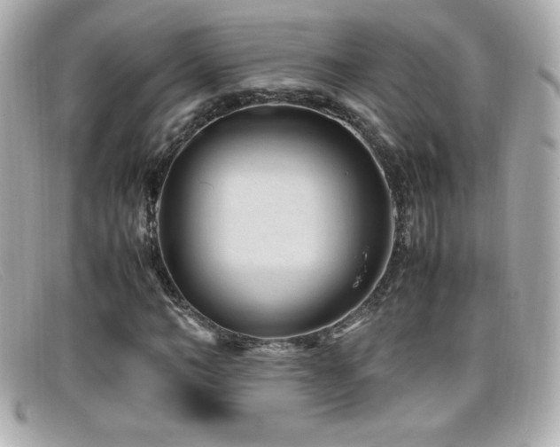 X0000099470966200805091544