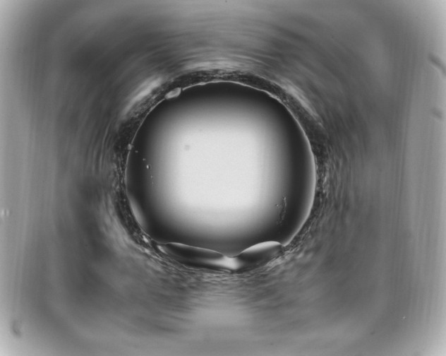 X0000099470967200805091544